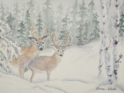 Let Us Guide Your Sleigh Tonight