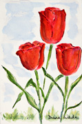 Jan's Tulips