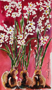 Paperwhites