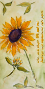 Sunflower and Script