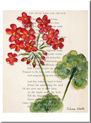 Geranium