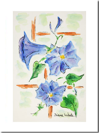 Jan's Heavenly Blues