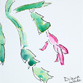 Christmas Cactus