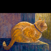 Cats & Other Critters