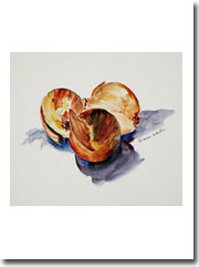 Bold Onion Series II